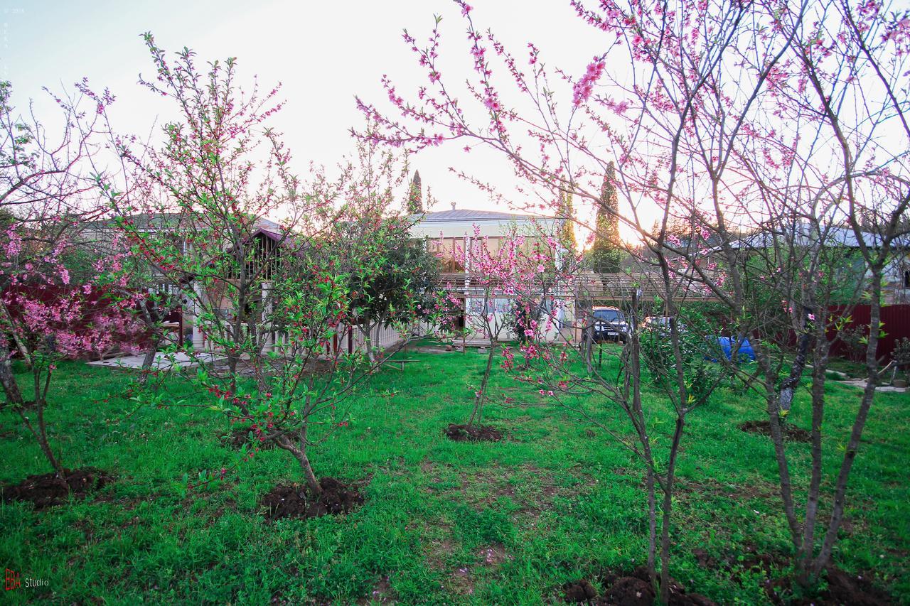 Green Garden Guest House チャルトゥボ エクステリア 写真